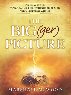 cover image of The Big(ger) Picture